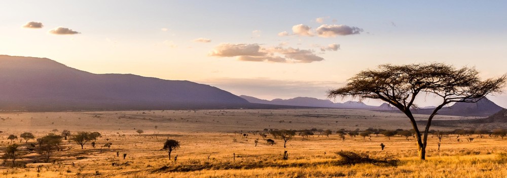 Kenya's Mount Kenya and Kilimanjaro with Safari Adventure
