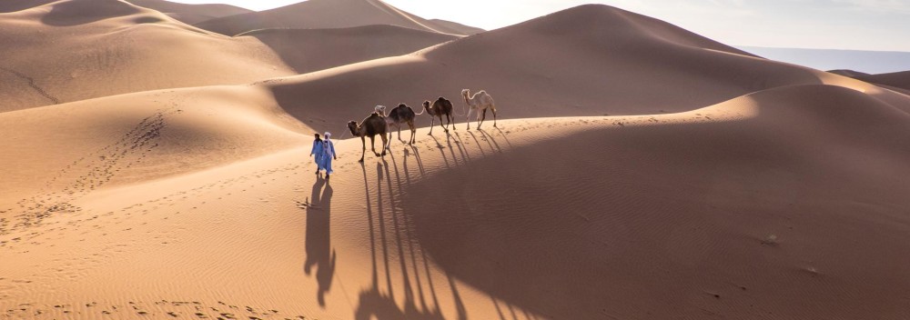 Der Zauber der Sahara: Ein Zelt-Trekking Abenteuer