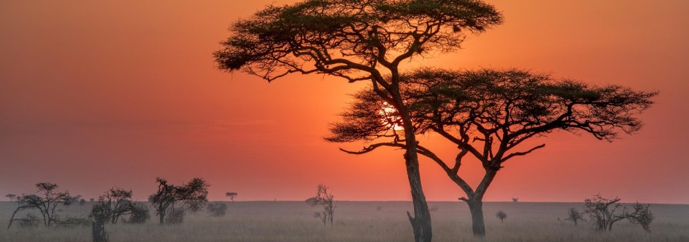 Trekking Adventure: Exploring Ngorongoro, Lake Natron & Serengeti on Foot
