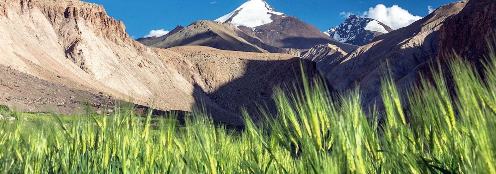 Hochgebirgswandern und Zeltabenteuer in Ladakh