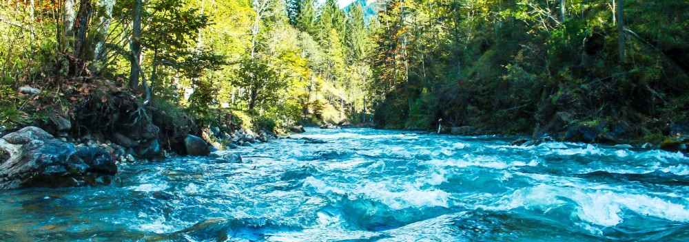 WWF-Abenteuerreise: Von der Wilden Flusslandschaft bis zum Alpinen Gebirge