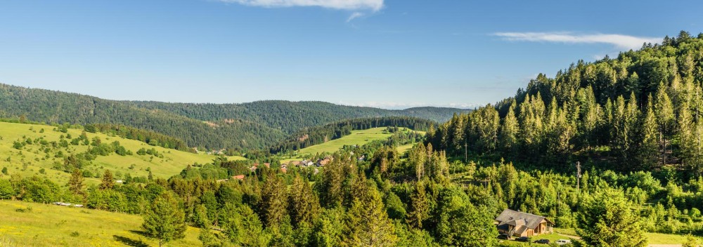 Exploring the South Black Forest: A Trek on the Schluchtensteig Trail