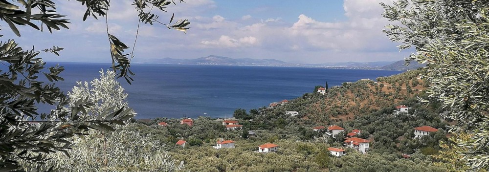 Hiking and Swimming on Pilion's Kalderimi Trails