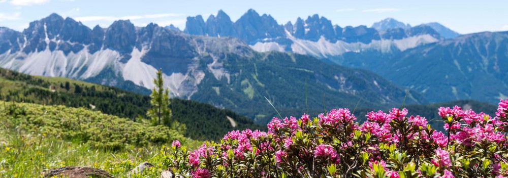Youthful Peaks: Transalp Journey from Plose to Monte Grappa