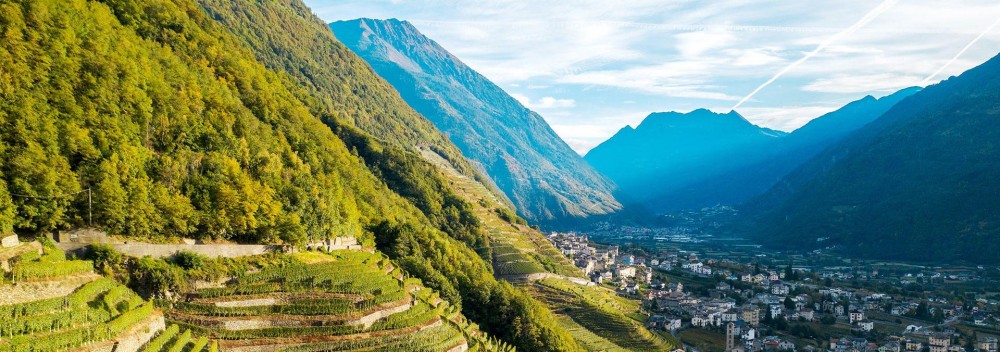 Erkundung des Stilfserjoch Nationalparks zu Fuß