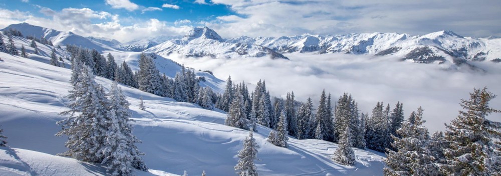 Grundlagen des Schneeschuhwanderns für Familien