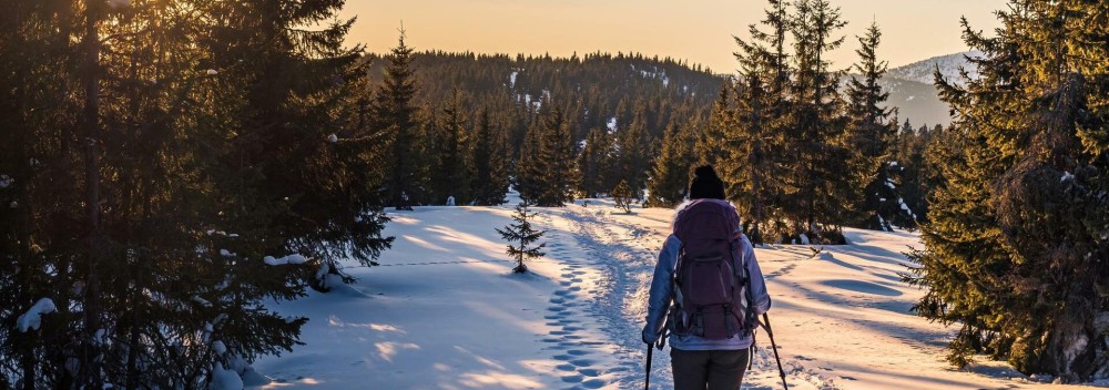 Snowshoe Hiking in Sellrain