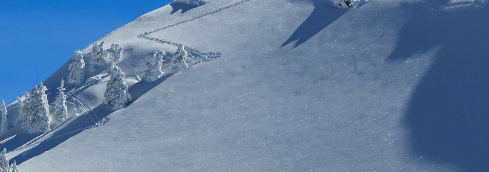 Freeride Paradise in Andermatt
