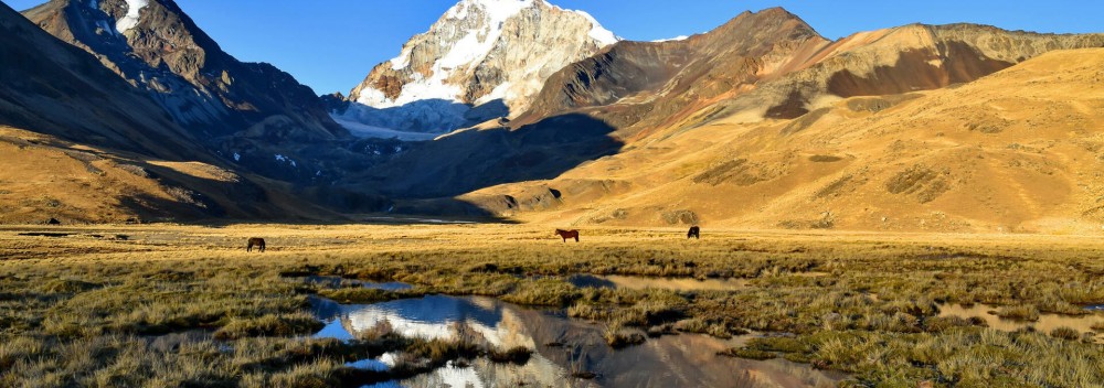 Exploring the Andes, Yungas, Amazon - A Bolivian Trekking Adventure